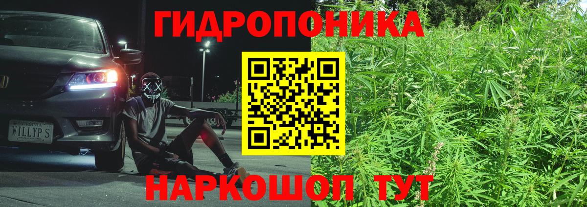 Бошки марихуана THC 21%  Вход с VPN  Бошки марихуана MAZAR  Каннабис OG Kush  Сатка  Конопля MAZAR 